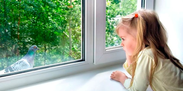 Чем вредны пластиковые окна