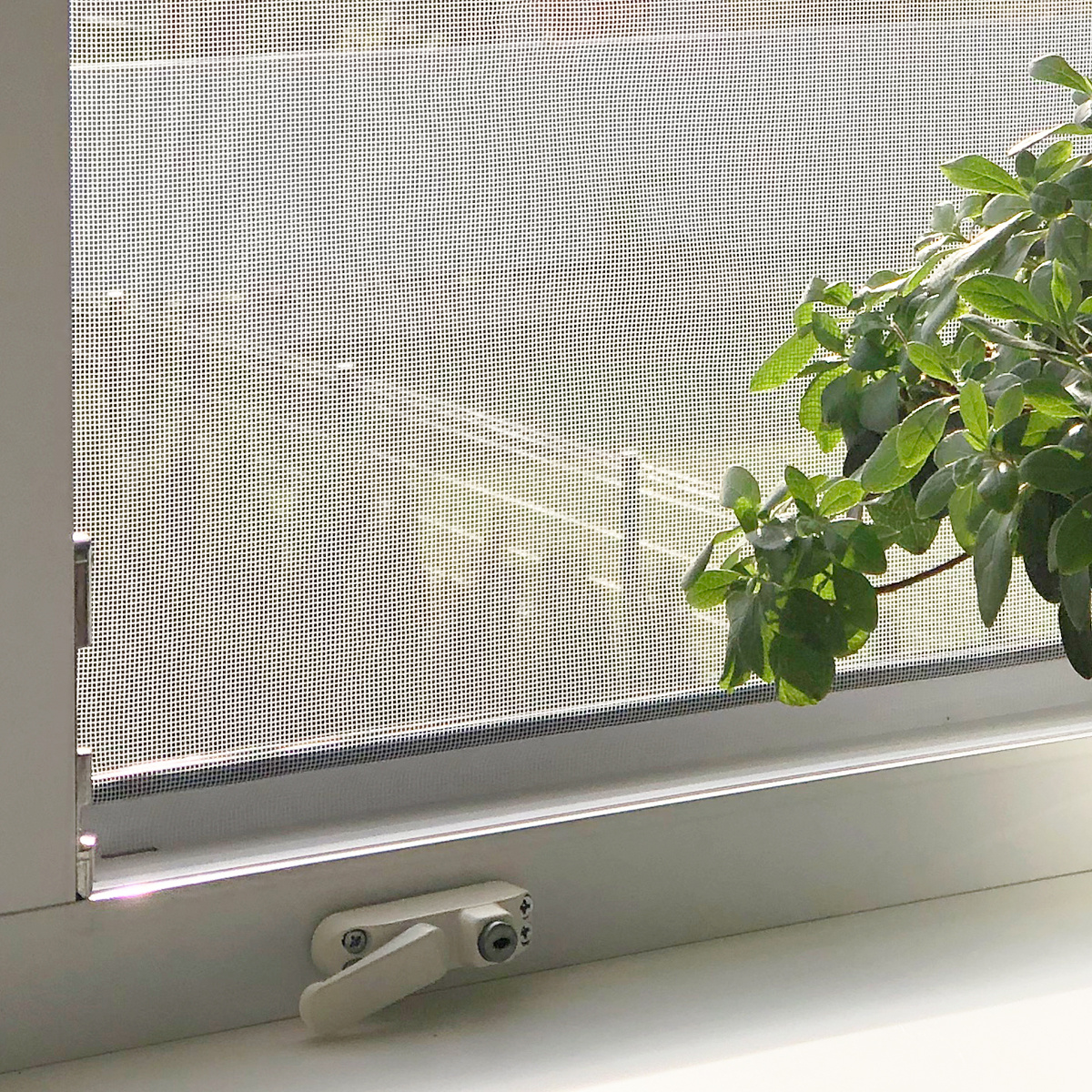 Москітна сітка «Антипил» | Niks-M