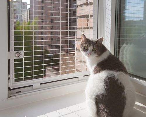 Москітні сітки Антикішка